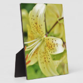 Trouwfeesten van Lily Blooms Fotoplaat (Zijkant)