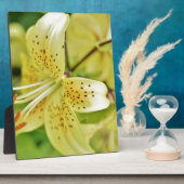 Trouwfeesten van Lily Blooms Fotoplaat (Zijkant)