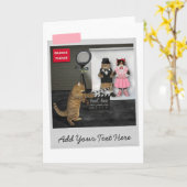 Trouwfilmset voor katten Grappige kaart (Gele Bloem)