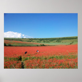 Trouwfoto in een veld van rode klaprozen poster
