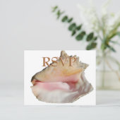 Trouwgasten RSVP Conch Seashell Uitnodiging Briefkaart (Staand voorkant)