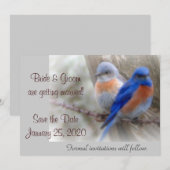 Trouwkaart met Blauwe Vogel Kaart (Voorkant / Achterkant)