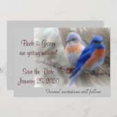 Trouwkaart met blauwe vogels kaart (Voorkant / Achterkant)