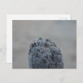 Trouwringen op het strand briefkaart (Voorkant / Achterkant)