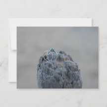 Trouwringen op het strand