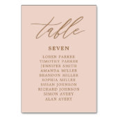 Trouwstoelindeling Roze en Goud Kaart (Achterkant)