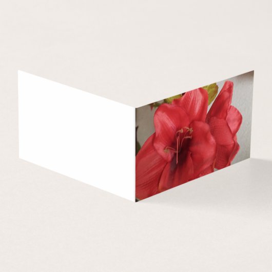 Trouwuitnodiging Amaryllis rode platte kaart (Buitenkant)