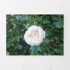 Trouwuitnodiging Witte Rozen All In One Drieluik Uitnodiging