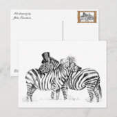 Trouwzebra's Briefkaart (Voorkant / Achterkant)