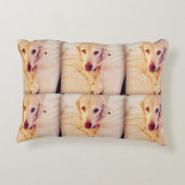 Troy Baby Poly Pillow Decoratief Kussen (Achterkant)