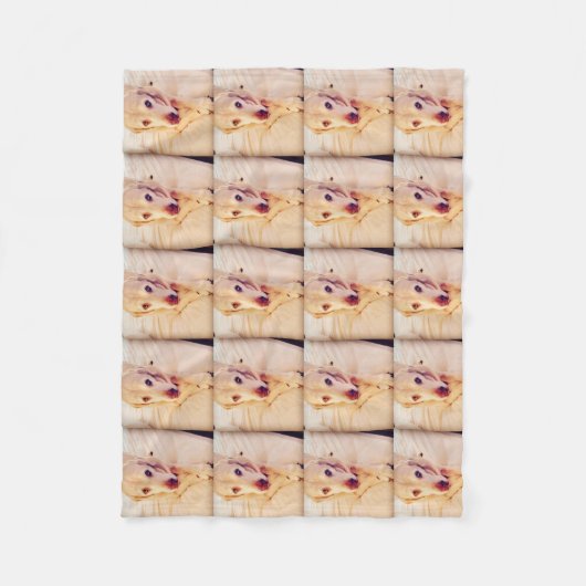 Troy Baby Small Fleece Blanket (Voorkant)