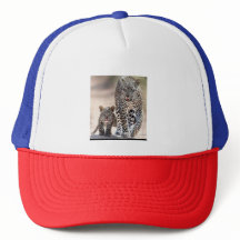 Trucker Hat