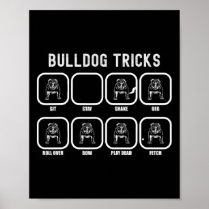 Trucs - Fun Bulldog training mislukt Poster