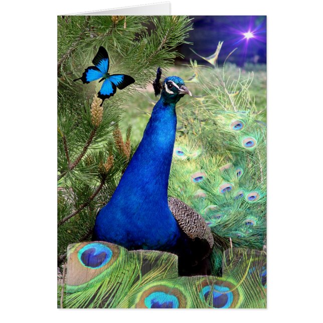 True Blue (Voorkant)