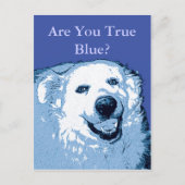 True Blue Dog Democraat briefkaart (Voorkant)