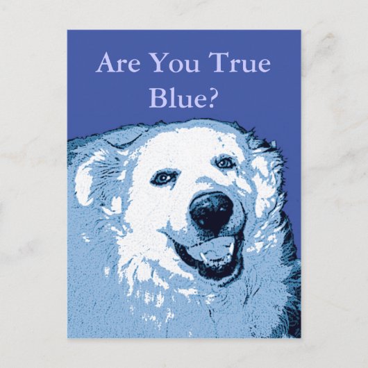 True Blue Dog Democraat briefkaart (Voorkant)