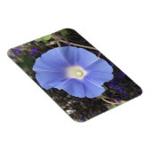 True Blue Morning Glory Magneet (Rechterzijde)