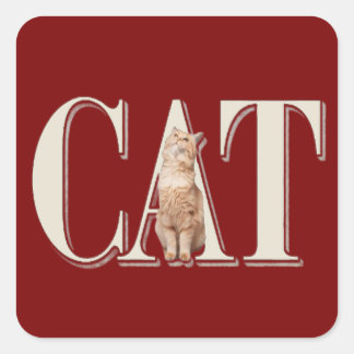 True Cat Love Vierkante Sticker