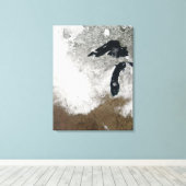 True-Color-beeld van sneeuw Canvas Afdruk (Insitu (Houten vloer))