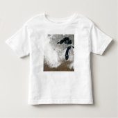 True-Color-beeld van sneeuw Kinder Shirts (Voorkant)