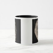 True color mosaic of Saturn's moon Hyperion Mok (Midden)