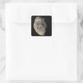 True color mosaic of Saturn's moon Hyperion Vierkante Sticker (Tas)