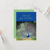 True Colors Peacock Flat Wenskaart Kaart (Voorkant / Achterkant in situ)