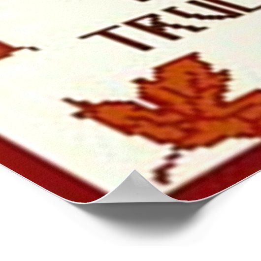 True Friends Poster (Hoek)