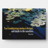 True Friendship Fotoplaat (voorkant)