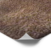 TRUE Kat LAVE Art Poster (Hoek)