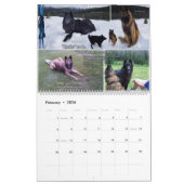 True Knight Tervuren Puppy Review Agenda 1 Kalender (Feb 2026)