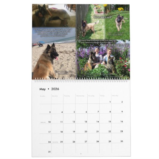 True Knight Tervuren Puppy Review Agenda 1 Kalender (Mei 2026)