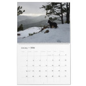 True Knight Tervuren Puppy Review Agenda 1 Kalender (Jan 2026)