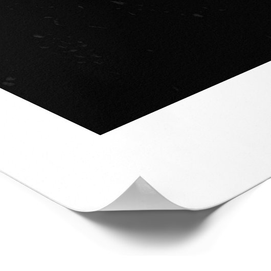 TRUE LOS 2 POSTER (Hoek)