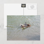 True Love Briefkaart (Voorkant / Achterkant)