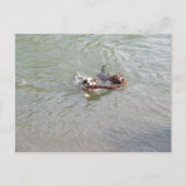 True Love Briefkaart (Voorkant)