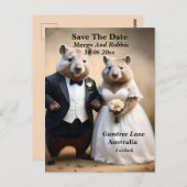 True Love Down Under: Wombats die de knoop doorhak Briefkaart (Voorkant / Achterkant)