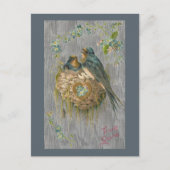 True Love for Swallows in Nest Briefkaart (Voorkant)