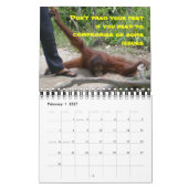 True Love: hoe je aan het man van je dromen kunt v Kalender (Feb 2027)