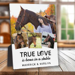 True Love Paard Lover Gepersonaliseerd 4 Fotocolla Fotoplaat<br><div class="desc">Ware liefde werd geboren in een stal! Op zoek naar een cool paardenliefhebberscadeau, een unieke en stijlvolle fotocollage plaquette perfect voor paardenliefhebbers en paardenliefhebbers. Dit unieke stuk bevat de zin "True Love is born in a Stable" met een paardenontwerp naast een stijlvolle fotocollage voor u om uw favoriete afbeeldingen toe...</div>