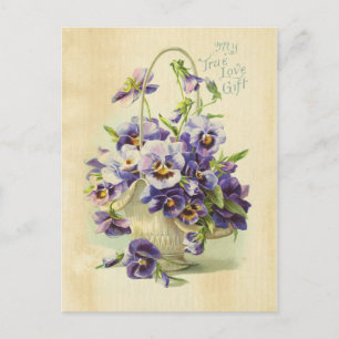 True Love Paars Flower  Illustration Aged Briefkaart