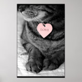 True Love Poster (Voorkant)