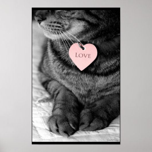 True Love Poster (Voorkant)