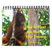 True Love Romance Advice Kalender (Hoes)