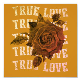 True Love Roos Romantic Valentijnsdag B&W Foto Afdruk