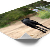 True Love Waits Poster (Hoek)