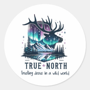 True North Vbs Vertrouwen in Jezus in een wilde we Ronde Sticker