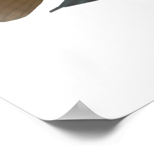 True Parrot Cichlid Poster (Hoek)