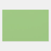 True Pistachio Green Inpakpapier Vel (Voorkant)