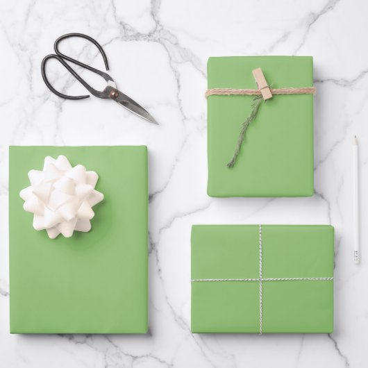 True Pistachio Green Inpakpapier Vel (Voorkant)